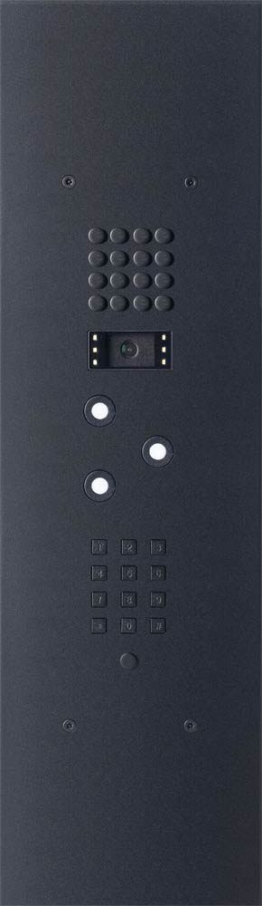 Wizard Bronze Black IP 3 buttons large model keypad and color cam